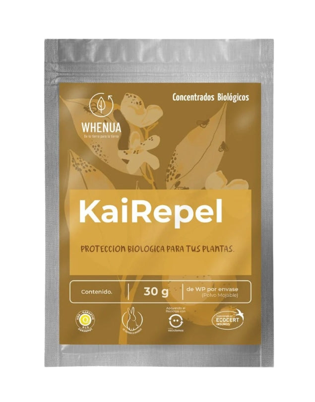 Kai Repel, 30g