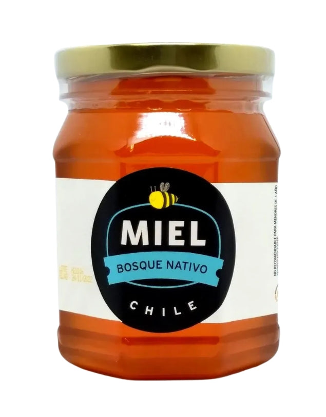 Miel Bosque Nativo, 1kg