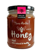 Miel De Quillay Organica, 400g